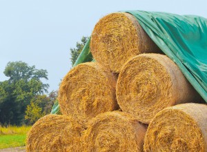Straw & Hay Bale Cover